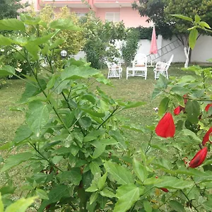 https://ayda-hotel.kusadasihotels.org